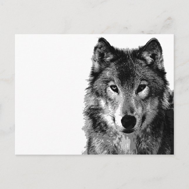 Postal Retrato de lobo blanco y negro (Anverso)