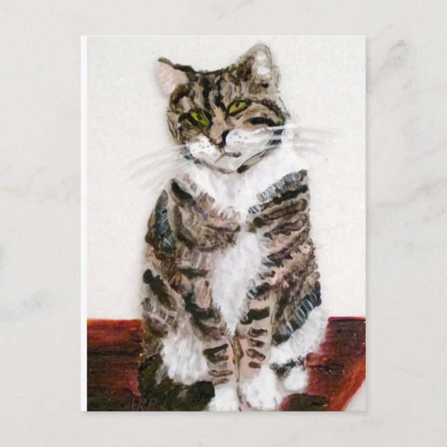 Postal Retrato de Mascota gatito lindo (Anverso)