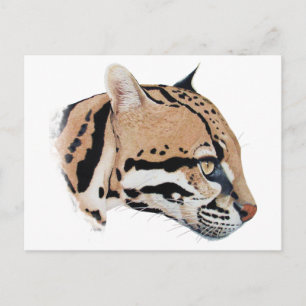 Postal Retrato de Ocelot