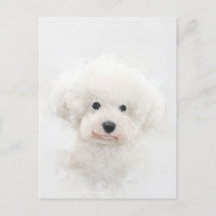 Retrato de perro de Bichon Frise