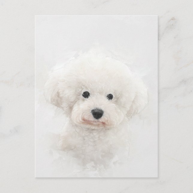 Postal Retrato de perro de Bichon Frise (Anverso)