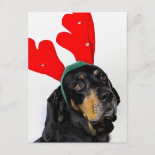 Postal Retrato de perro de Coonhound, con cuernos rojos