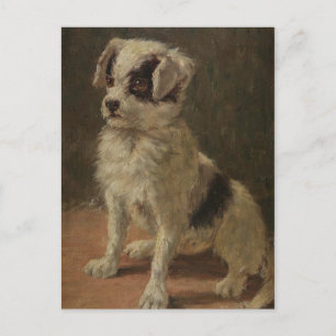 Postal Retrato de perro de las poblaciones de minerales d