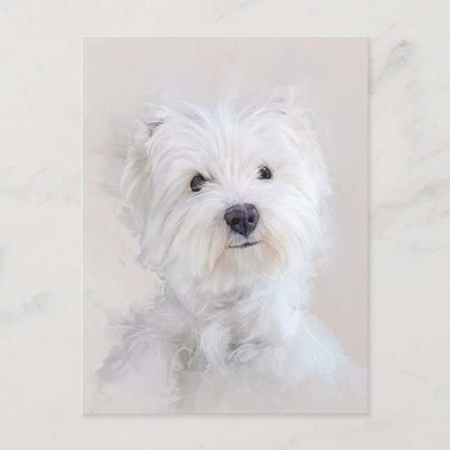 Postal Retrato de perro de Westie (Anverso)