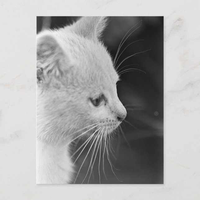 Postal Retrato de Petra (Anverso)