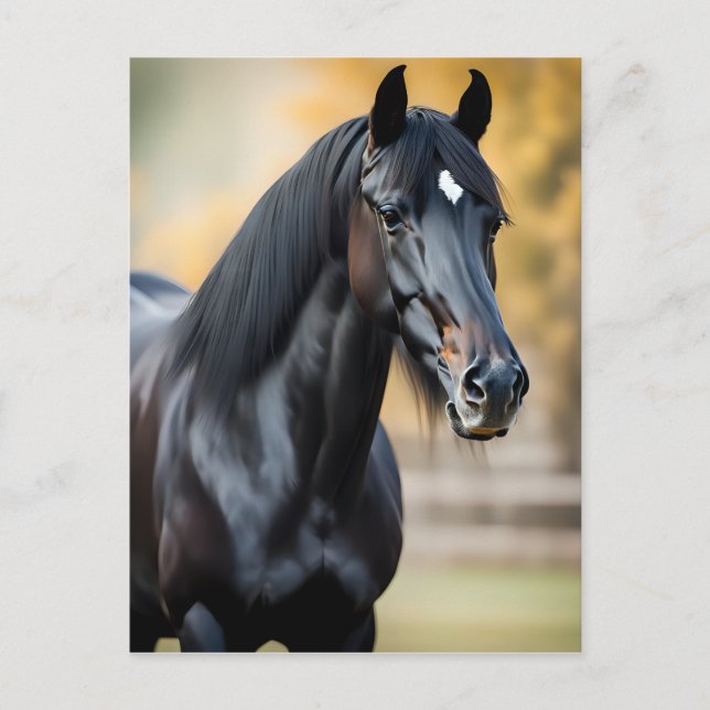 Postal Retrato de primer plano de un caballo negro (Anverso)