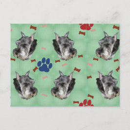 Postal Retrato de Schnauzer