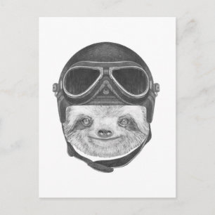 Postal Retrato De Sloth Casco de época