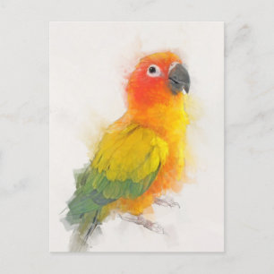 Postal Retrato de Sun Conure