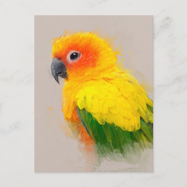 Postal Retrato de Sun Conure 001 (Anverso)