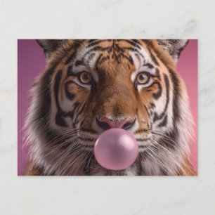 Postal Retrato de Tigre de Bengala Soplando Chicle Rosa