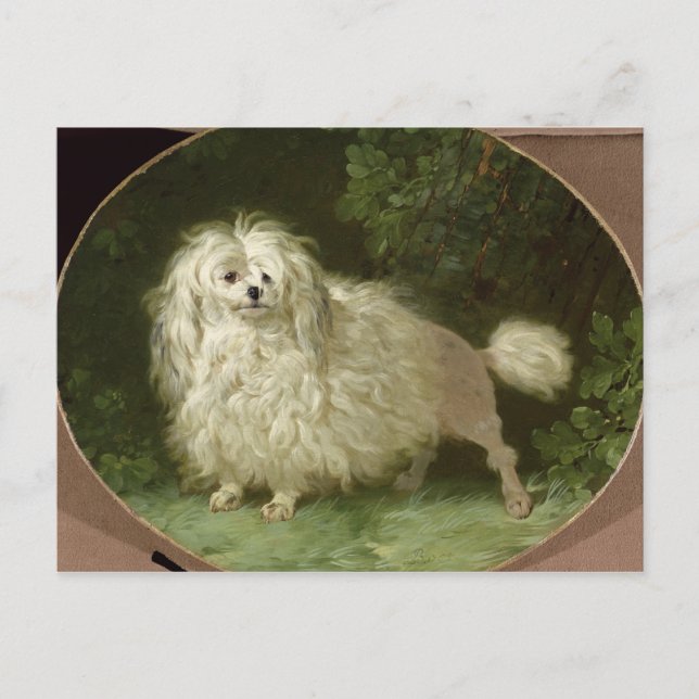 Postal Retrato de un caniche (Anverso)