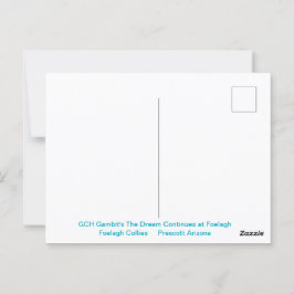 Postal Retrato de un collie tosca