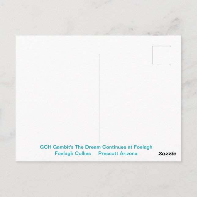 Postal Retrato de un collie tosca (Reverso)