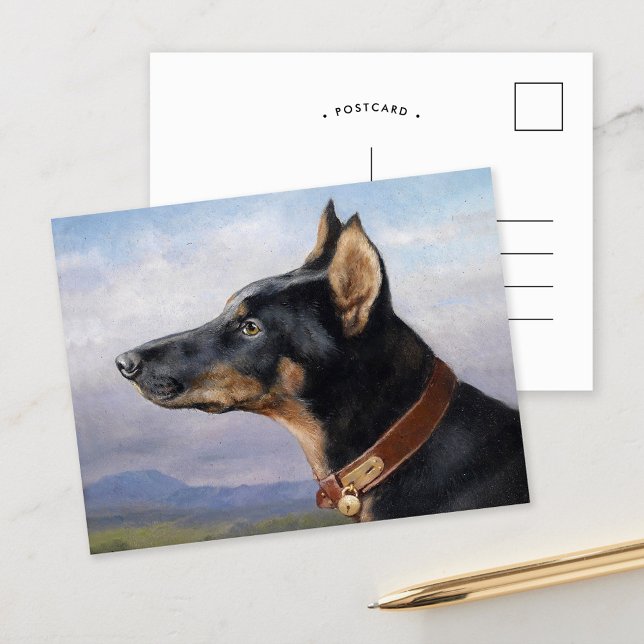 Postal Retrato de un Doberman | Carl Reichert (Subido por el creador)