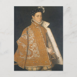Postal Retrato de un joven por Sofonisba Anguissola Po