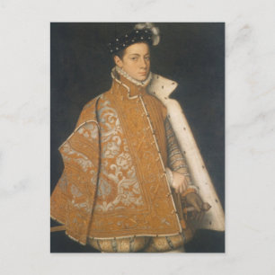 Postal Retrato de un joven por Sofonisba Anguissola Po