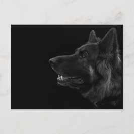 Postal Retrato de un perro pastor alemán