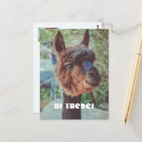 Retrato de una alpaca marrón