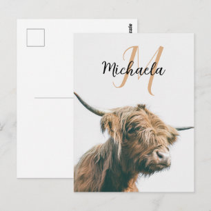 Postal retrato de vaca de las Tierras Altas con nombre pe
