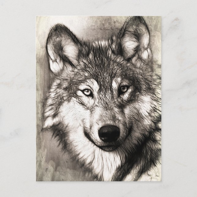 Postal Retrato de Wolf (Anverso)