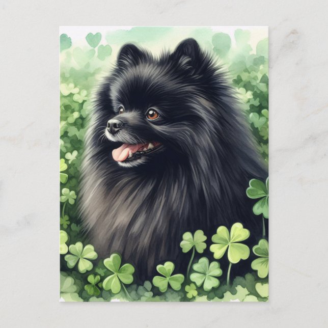 Postal Retrato del Día del Pomerania Negro (Anverso)