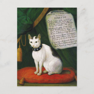 Postal Retrato del gato Armellino