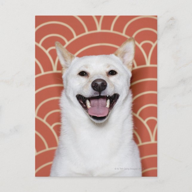 Postal Retrato del perro 3 (Anverso)