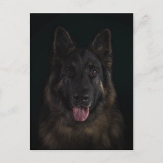 Postal Retrato del perro de pastor alemán