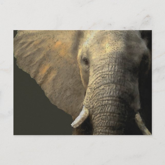 Postal Retrato elefante (Anverso)