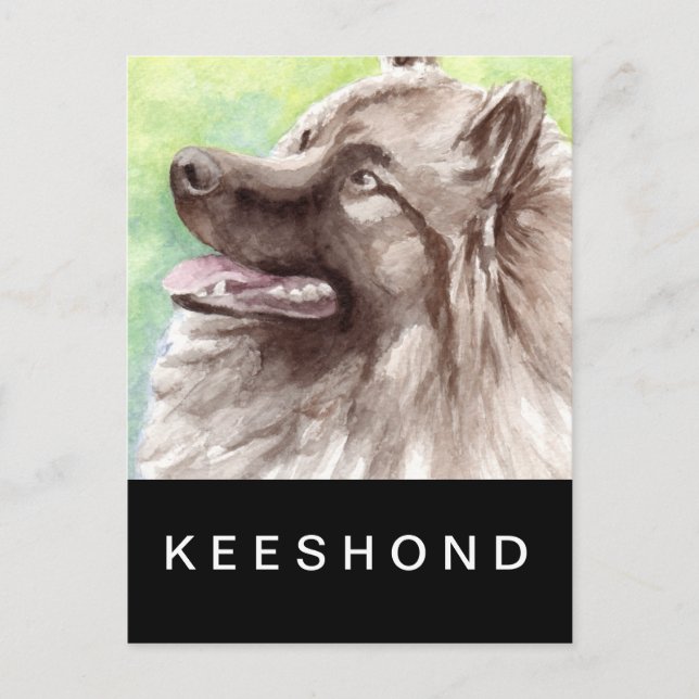 Postal Retrato en acuarela de Keeshond (Anverso)