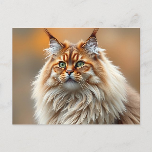 Postal Retrato fluffy de gatos forestales noruegos (Anverso)