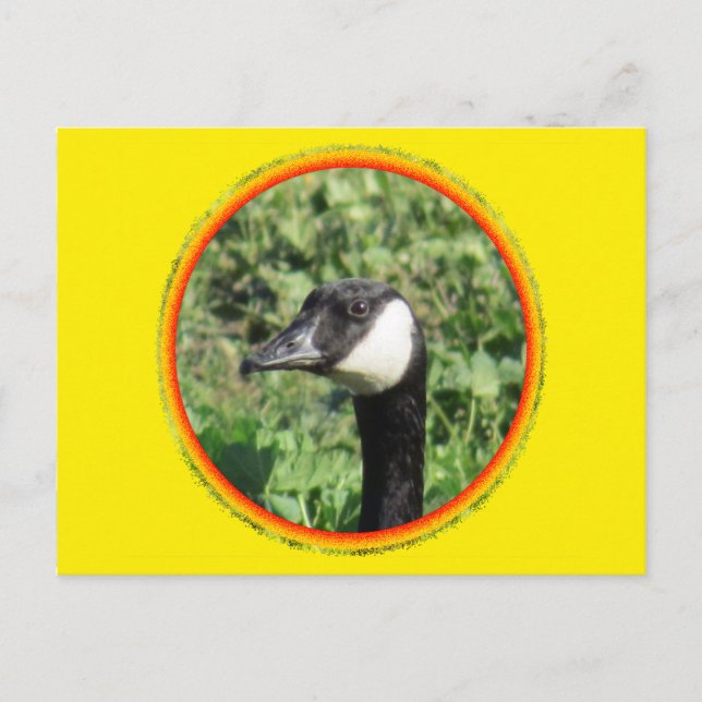 Postal - Retrato ganso (Anverso)