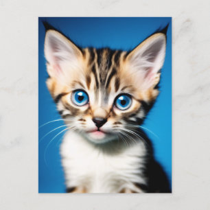 Postal Retrato gatito adorable con hermosos ojos azules