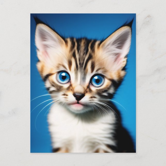Postal Retrato gatito adorable con hermosos ojos azules (Anverso)