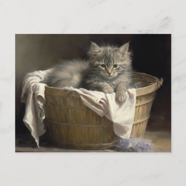 Postal Retrato Gris Gray Kitten (Anverso)