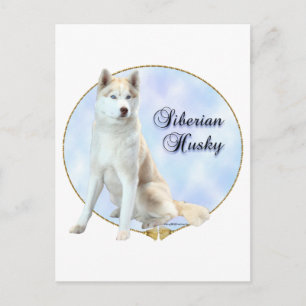 Postal Retrato Husky Siberiano