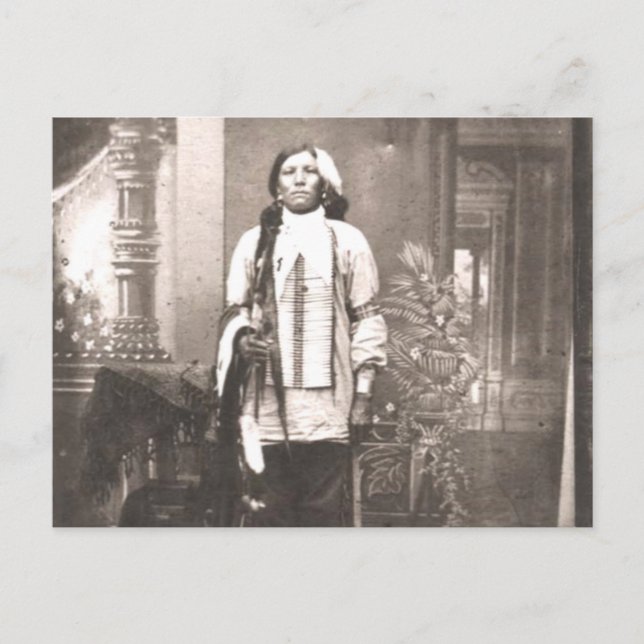 Postal Retrato loco de caballo (Anverso)