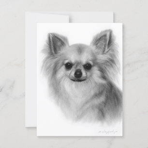 Postal Retrato Mascota pintado a mano de Chihuahua