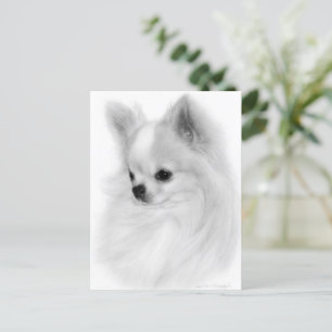 Postal Retrato pintado a mano de Chihuahua enmascarado