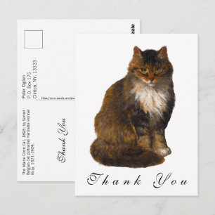 Postal Retrato Pintado de Gato Maine Coon Antiguo Gracias