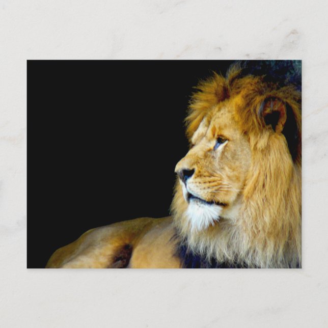 Postal Retrato Real (Anverso)