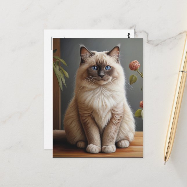 Postal Retrato Regal Ragdoll Cat Fluffy Blue Eyed (Anverso/Reverso In Situ)