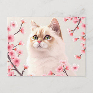 Postal Retrato Serene Birman Cat Con Flores De Cerezo
