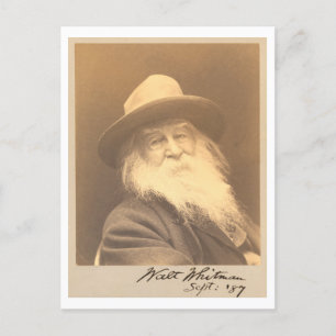 Postal Retrato Vintage Walt Whitman