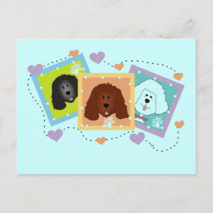 Postal Retratos de perros camisetas y regalos
