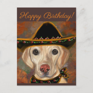 Postal Retriever de Labrador   
