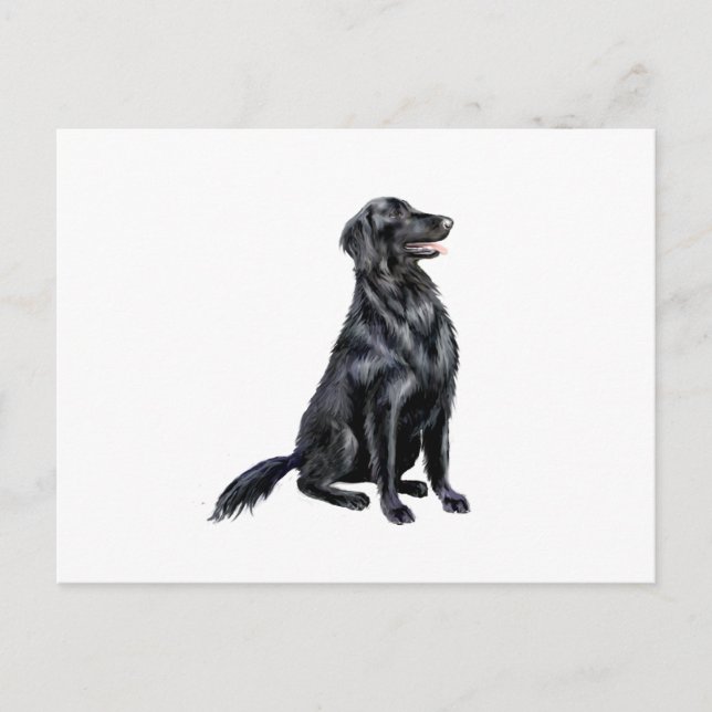 Postal Retriever de pelo liso (B) (Anverso)