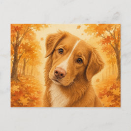 Postal Retriever de Tolling de Pato Otoño Perro