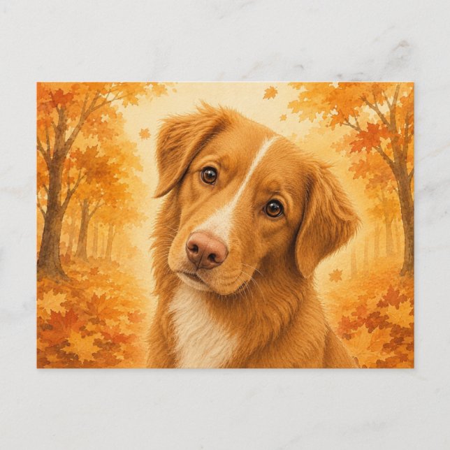 Postal Retriever de Tolling de Pato Otoño Perro (Anverso)